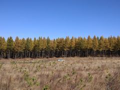 -塞罕坝国家级自然保护区