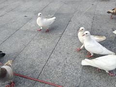 -万达广场(广州番禺店)