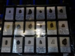 -志强陨石馆(双季花艺店)