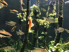 -成都浩海立方海洋公园