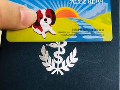 -申普宠物医院·心脏介入·心血管微创(总院)