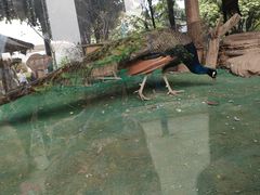 -陕西自然博物馆