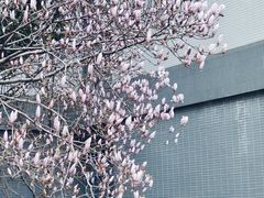 -东南大学(九龙湖校区)