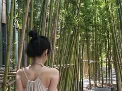 -仙海旅游度假区