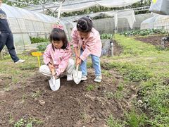 -前小桔亲子创意农场·草莓采摘·露营烧烤