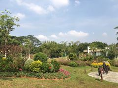 -东莞植物园