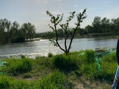 -东郊湿地公园