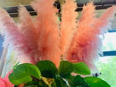 -春暖花开(西溪店)