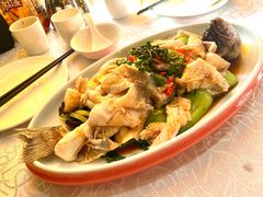 鲜椒鲈鱼-津悦·正阳春烤鸭(红旗南路店)