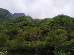 -秦岭风景区