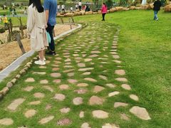 -东莞植物园