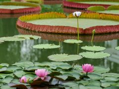 -国家植物园南园