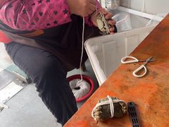 -阳澄湖大闸蟹·琼灵阁牌品牌连锁(吴中总店)