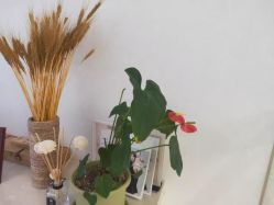 点击看大图 -Cocodemer女性健康·产后恢复(天一广场店)