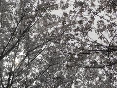 -堤角公园