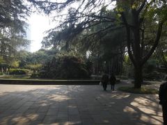 -望江楼公园