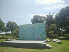 -荷塘月色湿地公园·向阳花洲