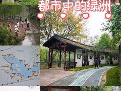 -重庆彩云湖湿地公园
