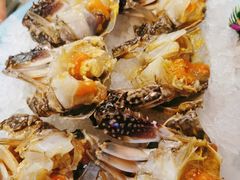 酱蟹-渔娘渔家丹东海鲜(东直门店)