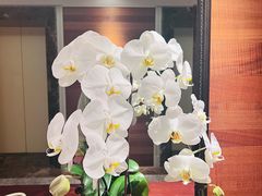 -新加坡万豪董厦酒店