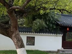 -江心屿景区