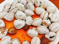 醉血蛤-红灯笼龙凤饭店(宁波老字号店)