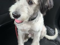 -肖婷姐大铁锅重庆火锅(南湖店)