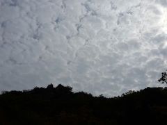 android_upload_pic-丹东凤凰山景区