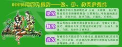 -哈尼罕天然海娜粉