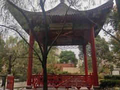 -复旦大学附属中山医院(西院区)