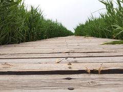 -野鸭湖国家湿地公园