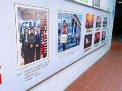 -胖大姐黄辣丁鱼庄(新津店)