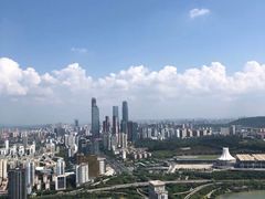 -地王国际商会中心