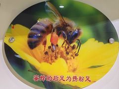 -上海昆虫博物馆