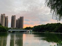 -天鹅湖体育公园