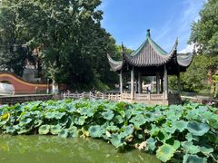 -岳麓山风景名胜区