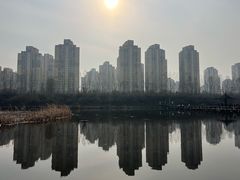 -前关湿地公园