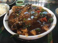 昂刺鱼烧豆腐-吉事利茶餐厅