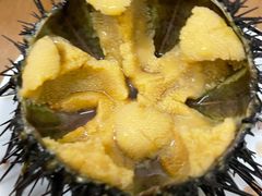 -海胆小馆(东北水饺·春柳店)