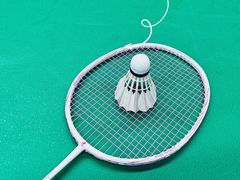 -DC极兔羽毛球馆YONEX(诸光馆)