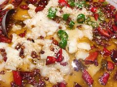 酸菜龙利鱼-松针蔡记蒸饺(花园路店)