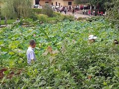 -韶山毛泽东同志故居