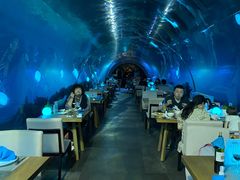 大堂-海棠湾洲际-涛·海底餐厅·美人鱼·自助餐·海底隧道