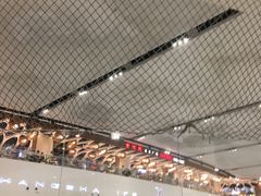 -TheRink大零溜冰场(IFS国金中心店)