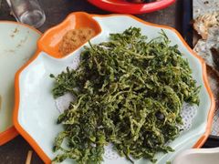 -向外鱼乐·土菜·虹鳟鱼