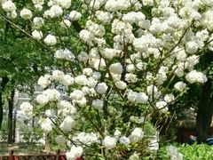 -南通洲际绿博园