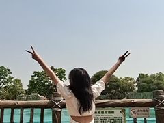 -七彩云南欢乐世界