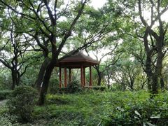 -上海市保健医疗中心(华东疗养院)