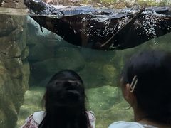 -南昌海洋公园