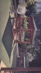 -宝生月子中心(独栋园林·福田店)